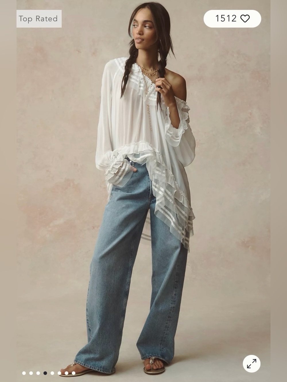 NWT By Anthropologie Sheer Ruffle Ribbon Blouse XXSP